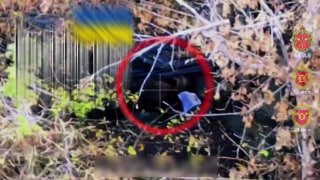 Уничтожение позиции ВСУ в Сумской области российскими беспилотниками