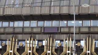 В Краснодаре зацвели тропические растения из-за аномальной теплой погоды