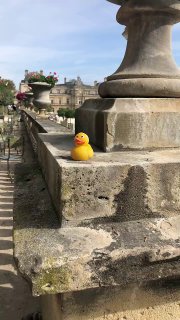 Создана камера Pixless для съемки пикселизированных изображений