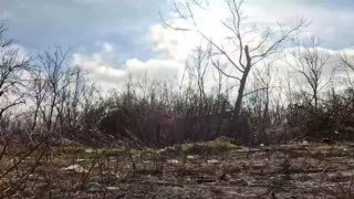 Уничтожение техники и живой силы ВСУ на Покровском направлении