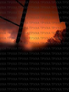 Иллюстрация 6