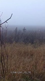 Иллюстрация 3