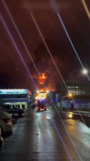 Атака на ГРЭС под Москвой и празднование Дня Голодомора в Киеве