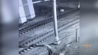 В Ленобласти расследуют дело о терроризме