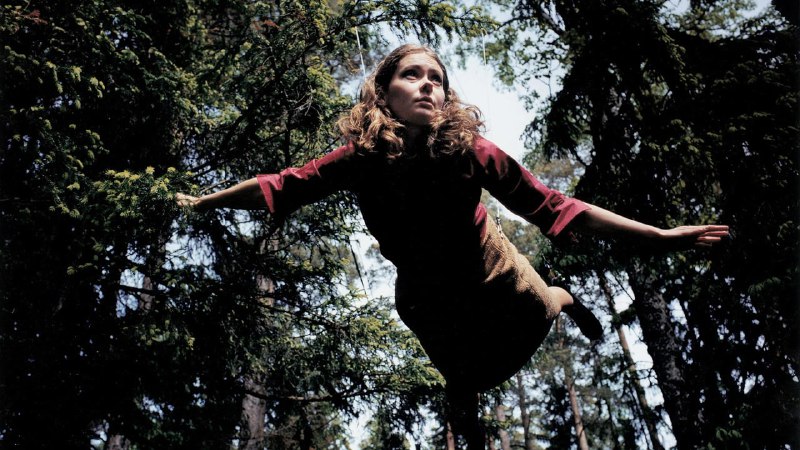 Иллюстрация 10