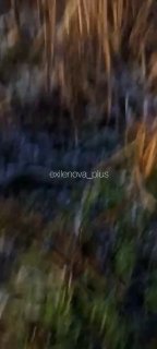 Иллюстрация 5