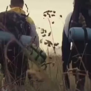 Иллюстрация 2