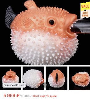 Рыба-ёж стала популярной игрушкой для мужчин