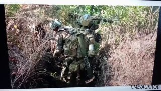 Залетный ВСУшник слегка попутал и прибежал к нашим бойцам