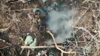 Удары БПЛА по позициям ВСУ в Донецкой Республике