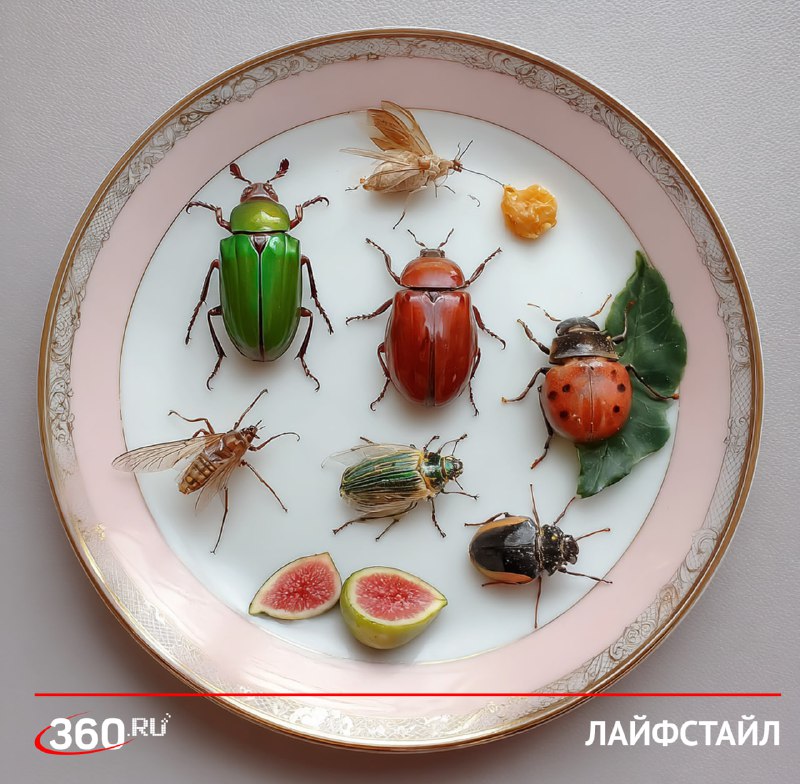 В Германии студенты кормят насекомыми