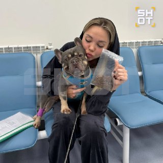 Пёс съел трусы хозяйки и попал в больницу