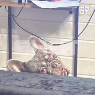 Иллюстрация 3