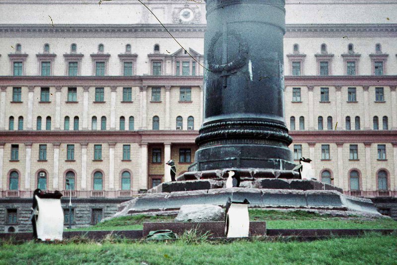 В Москве установили арт-объекты в виде пингвинов