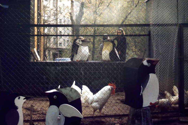 Иллюстрация 2