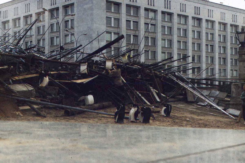 Иллюстрация 5