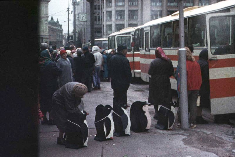 Иллюстрация 8