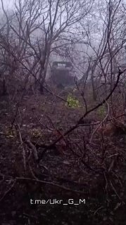 Сообщение об уничтожении транспорта с боеприпасами и упоминание 'болезни украинства'