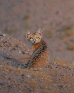 Иллюстрация 3