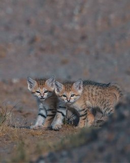 Иллюстрация 4