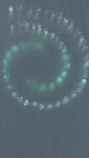 Киты начертили спираль Фибоначчи в Антарктиде