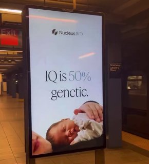 Иллюстрация 2