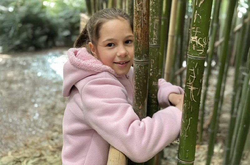 Иллюстрация 2