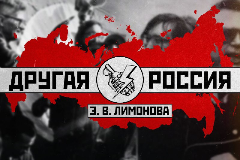 Деятельность партии "Другая Россия Э.В. Лимонова"