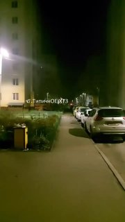 Иллюстрация 2