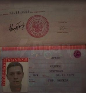 Иллюстрация 1