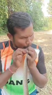 Индус спас змею от смерти