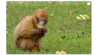 Вышел бесплатный ИИ-апскейлер InvSR