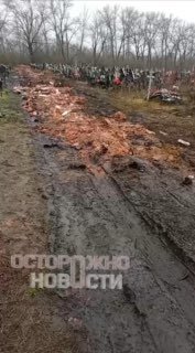 Иллюстрация 3