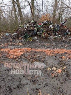 Иллюстрация 1