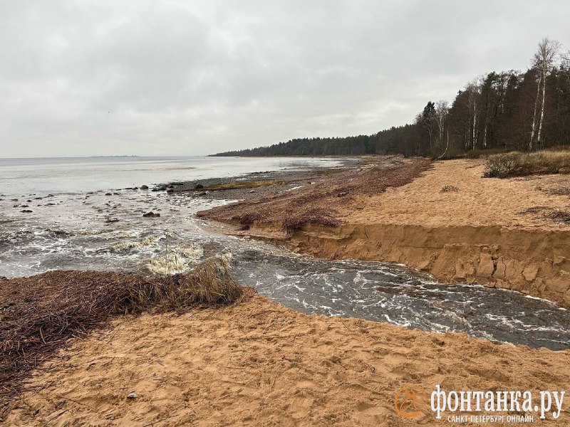 В Тарховке зафиксирован прорыв канализации