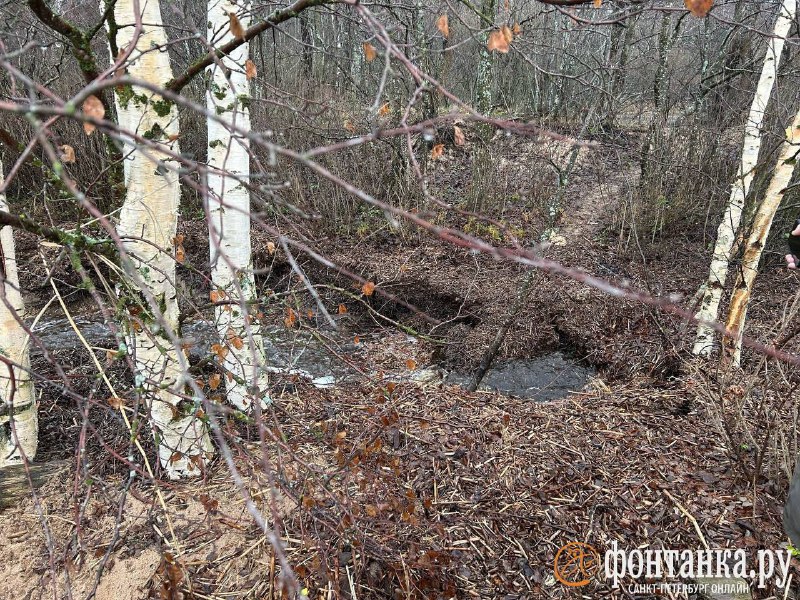 Иллюстрация 2