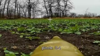 Уничтожение бронемашины в Днепропетровской области