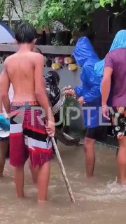 На Филиппинах после тайфуна появились гигантские водяные змеи