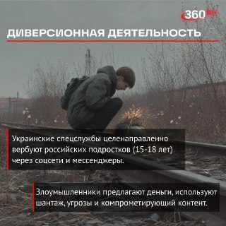 Иллюстрация 1