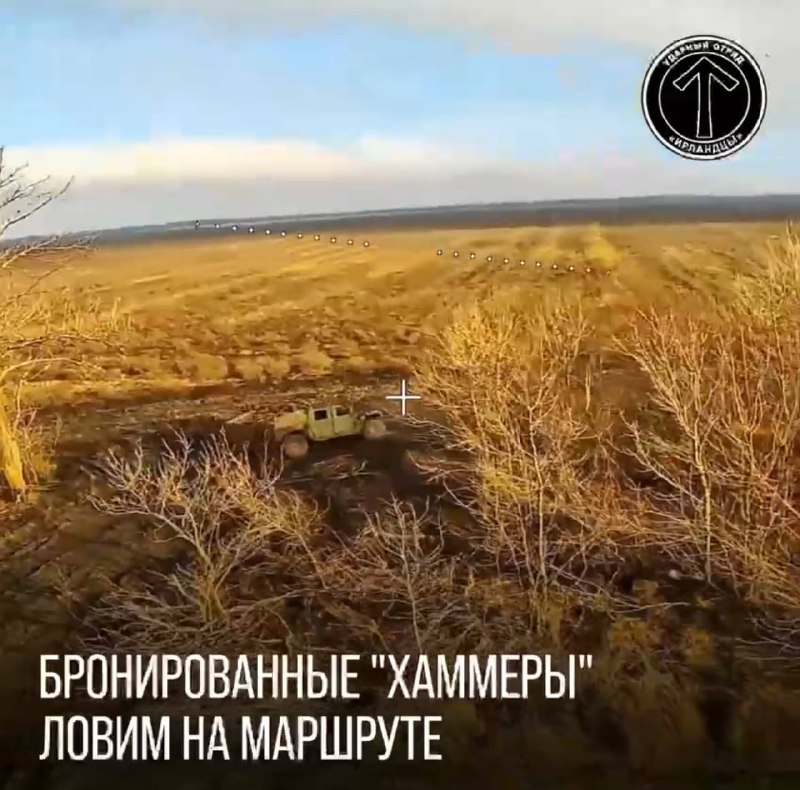 Иллюстрация 1