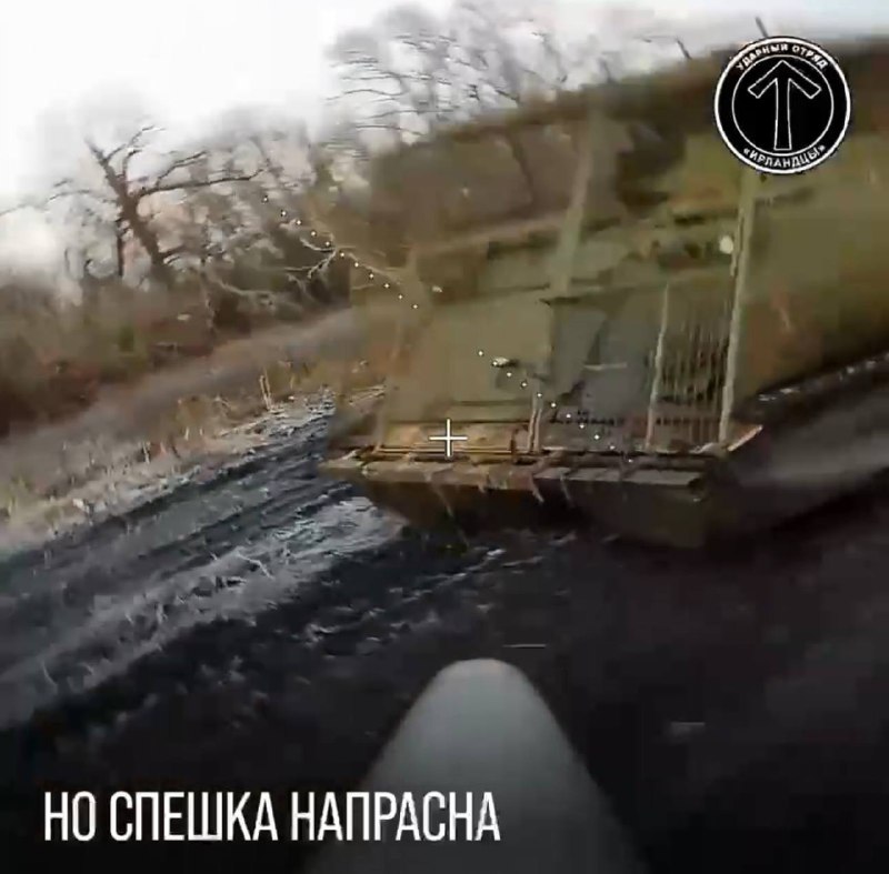 Иллюстрация 7