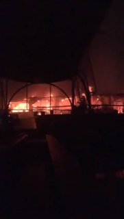 Иллюстрация 1