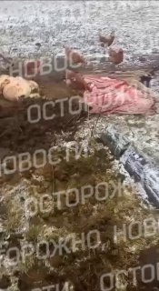 Фермер нашёл кошелёк в корове