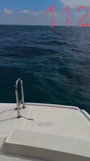 Акула укусила туристку на Мальдивах