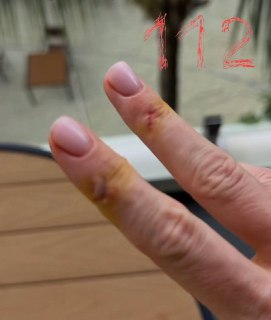 Иллюстрация 2