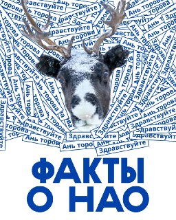 В Ненецком округе оленей в 4 раза больше, чем людей