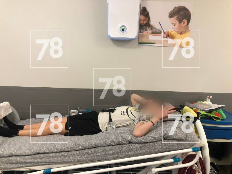 Иллюстрация 1