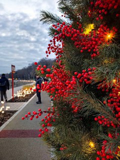 Иллюстрация 4