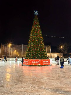 Иллюстрация 5