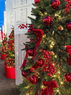 Иллюстрация 1